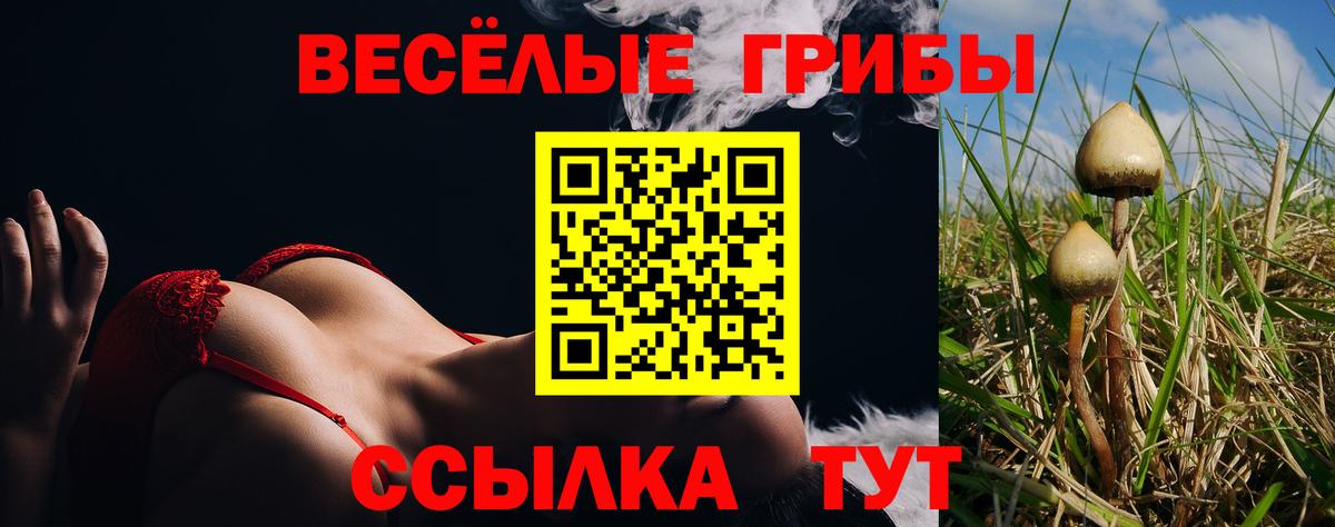Псилоцибиновые грибы ЛСД  Вход с VPN  Хасавюрт 